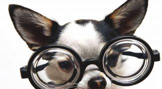 Картинка по теме - как сделать себя умным