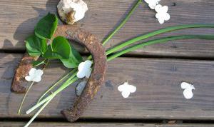 Картинка по теме - как вешать подкову над дверью