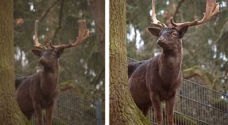 Картинка по теме - как отредактировать фото в фотошопе