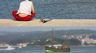 Картинка по теме - как улучшать фотографии в фотошопе