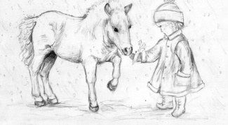 Картинка по теме - как нарисовать лошадь карандашом