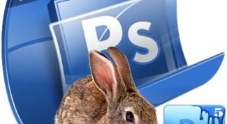 Картинка по теме - как выделить объект в фотошопе