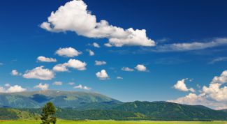 Картинка по теме - как беречь природу