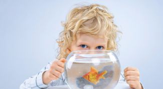 Картинка по теме - как мыть аквариум