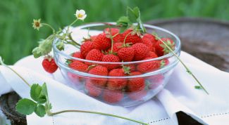 Картинка по теме - как выращивать землянику