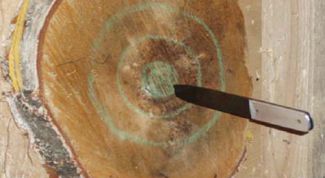 Картинка по теме - как кидать нож