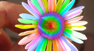 Картинка по теме - как сделать фото ярким