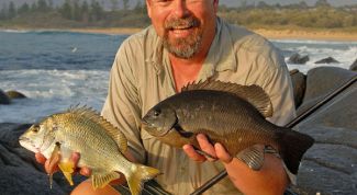 Картинка по теме - как ловить леща зимой