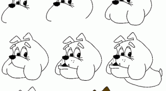 Картинка по теме - как снять мультфильм