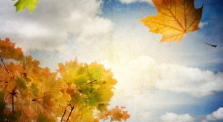 Картинка по теме - как клеить фотообои