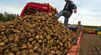 Картинка по теме - как заработать в деревне