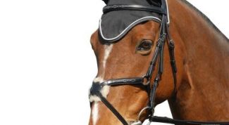 Картинка по теме - как связать ушки