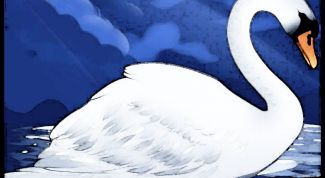 Картинка по теме - как нарисовать лебедя