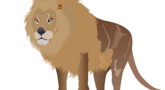 Картинка по теме - как нарисовать льва