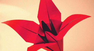 Картинка по теме - как сделать лилию