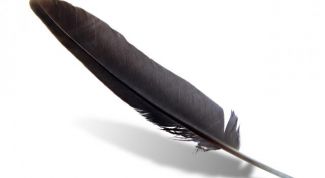 Картинка по теме - как сделать перо