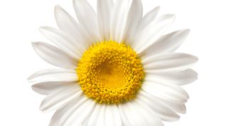 Картинка по теме - как узнать что он о тебе думает