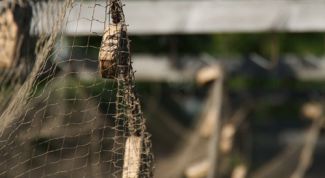 Картинка по теме - как сушить рыбу