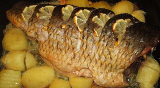 Картинка по теме - как запечь карпа