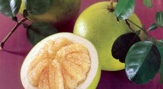 Картинка по теме - как выбрать помело