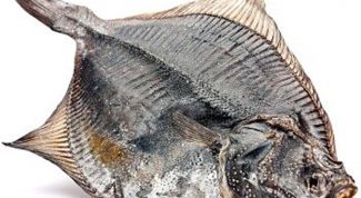 Картинка по теме - как чистить камбалу