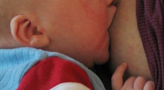 Картинка по теме - как увеличить жирность молока