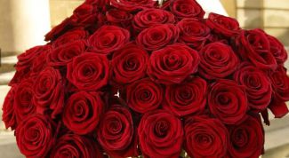 Картинка по теме - как сохранить розы дольше