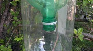 Картинка по теме - как сделать ловушку