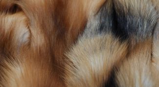 Картинка по теме - как очистить мех