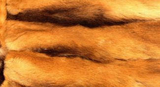 Картинка по теме - как стирать мех