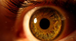 Картинка по теме - как определить цвет глаз