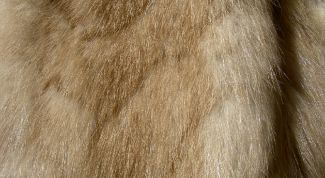 Картинка по теме - как выделать шкуру лисы