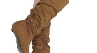 Картинка по теме - как очистить замшевую обувь