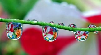 Картинка по теме - как добыть воду