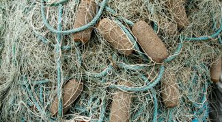 Картинка по теме - как ловить рыбу сетью