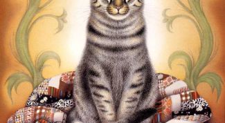 Картинка по теме - как нарисовать кота