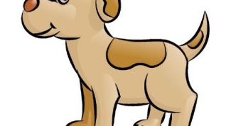 Картинка по теме - как нарисовать щенка