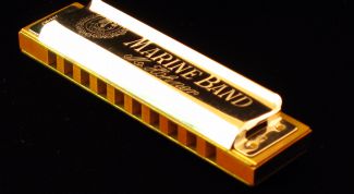 Картинка по теме - как научиться играть на гармошке