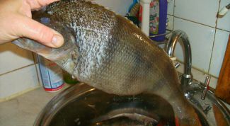 Картинка по теме - как чистить окуня