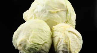Картинка по теме - как заквашивать капусту