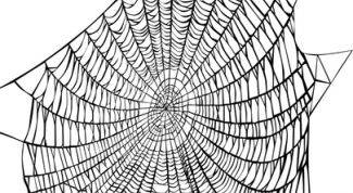 Картинка по теме - как сделать паутину