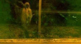 Картинка по теме - как увидеть призрака