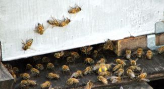 Картинка по теме - как изготовить ульи