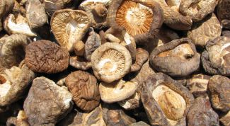 Картинка по теме - как готовить шиитаке