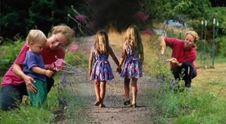 Картинка по теме - как совместить несколько фотографий