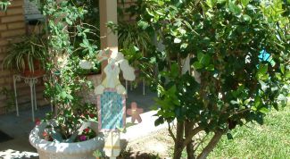 Картинка по теме - как оформить дачный участок