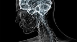 Картинка по теме - как увеличить реакцию