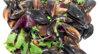 Картинка по теме - как чистить мидии