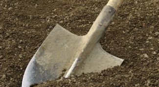 Картинка по теме - как определить почву