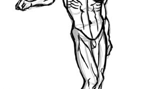 Картинка по теме - как нарисовать мужчину